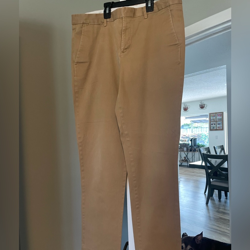 Express Chino Pants